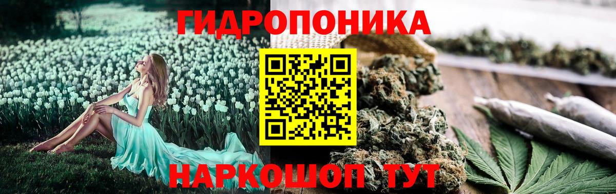 Шишки марихуана конопля  Вход с VPN  Кинель  Конопля Bruce Banner 